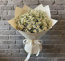 Букет цветов из:  Ромашки #REPLACE_PRED# Малгобеке